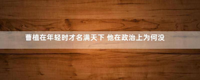 曹植在年轻时才名满天下 他在政治上为何没有出头之日